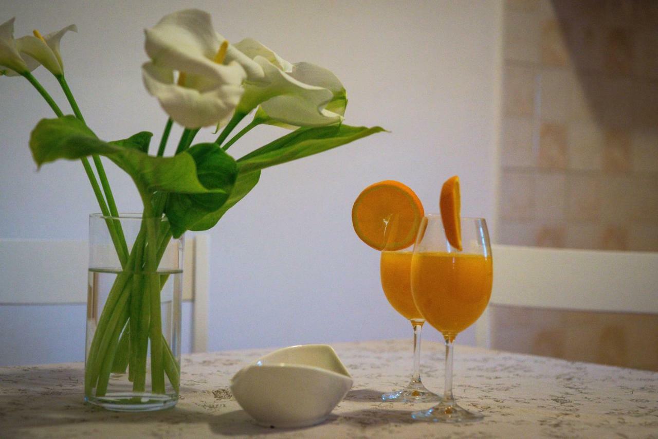 Korallion Apartment Sibenik Bagian luar foto